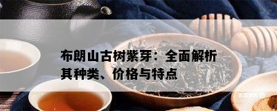 布朗山古树紫芽：全面解析其种类、价格与特点