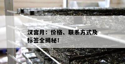 汉宫月：价格、联系方法及标签全揭秘！