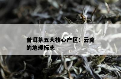 普洱茶五大核心产区：云南的地理标志