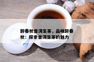 醉春秋普洱生茶，品味醉春秋：探索普洱生茶的魅力