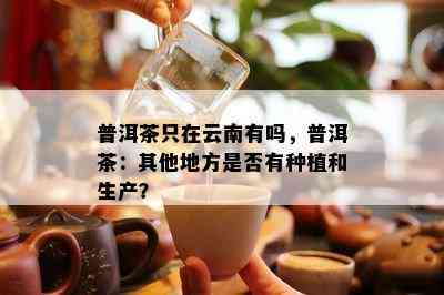 普洱茶只在云南有吗，普洱茶：其他地方是不是有种植和生产？