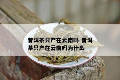 普洱茶只产在云南吗-普洱茶只产在云南吗为什么