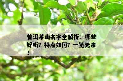 普洱茶山名字全解析：哪些好听？特点怎样？一览无余！