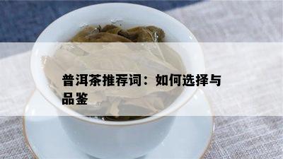 普洱茶推荐词：怎样选择与品鉴