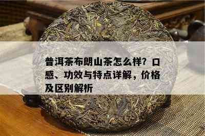 普洱茶布朗山茶怎么样？口感、功效与特点详解，价格及区别解析