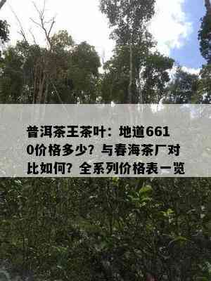 普洱茶王茶叶：地道6610价格多少？与春海茶厂对比怎样？全系列价格表一览