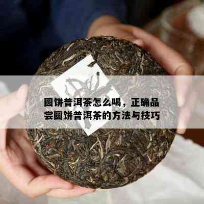 圆饼普洱茶怎么喝，正确品尝圆饼普洱茶的方法与技巧