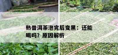 熟普洱茶泡完后变黑：还能喝吗？起因解析