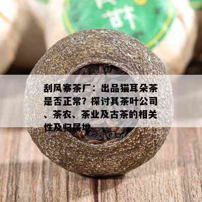 刮风寨茶厂：出品猫耳朵茶是否正常？探讨其茶叶公司、茶农、茶业及古茶的相关性及归属地