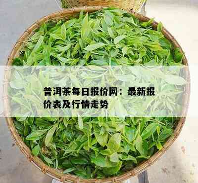 普洱茶每日报价网：最新报价表及行情走势