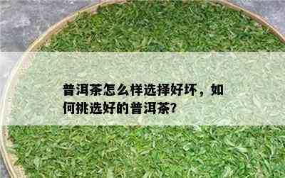 普洱茶怎么样选择好坏，如何挑选好的普洱茶？