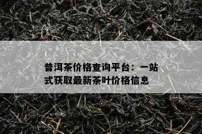 普洱茶价格查询平台：一站式获取最新茶叶价格信息