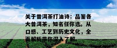 关于普洱茶打油诗：品鉴各大普洱茶，知名任你选。从口感、工艺到历史文化，全面解析带你深入了解。