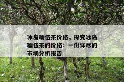 冰岛糯伍茶价格，探究冰岛糯伍茶的价格：一份详尽的市场分析报告