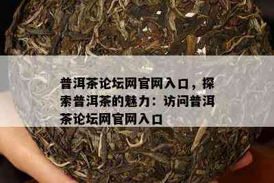 普洱茶论坛网官网入口，探索普洱茶的魅力：访问普洱茶论坛网官网入口