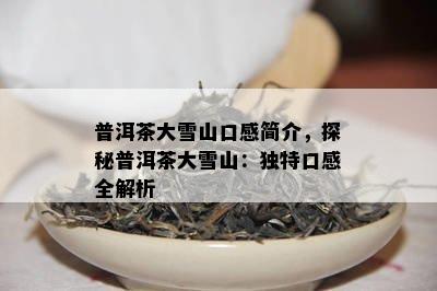 普洱茶大雪山口感简介，探秘普洱茶大雪山：独特口感全解析