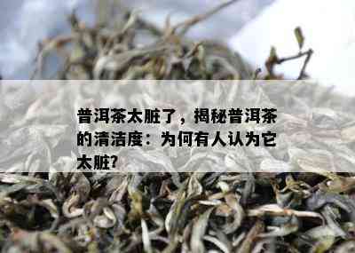 普洱茶太脏了，揭秘普洱茶的清洁度：为何有人认为它太脏？