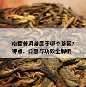 南糯普洱茶属于哪个茶区？特点、口感与功效全解析