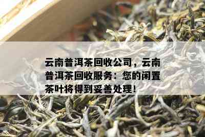 云南普洱茶回收公司，云南普洱茶回收服务：您的闲置茶叶将得到妥善处理！