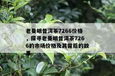 老曼峨普洱茶7266价格，探寻老曼峨普洱茶7266的市场价格及其背后的故事