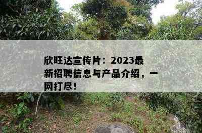 欣旺达宣传片：2023最新招聘信息与产品介绍，一网打尽！