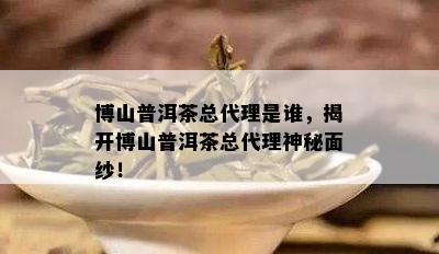 博山普洱茶总代理是谁，揭开博山普洱茶总代理神秘面纱！