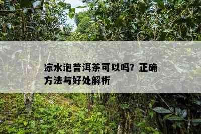 凉水泡普洱茶可以吗？正确方法与好处解析