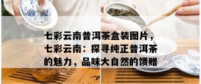 七彩云南普洱茶盒装图片，七彩云南：探寻纯正普洱茶的魅力，品味大自然的馈赠