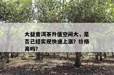 大益普洱茶升值空间大，是否已经实现快速上涨？价格高吗？