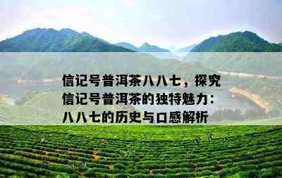 信记号普洱茶八八七，探究信记号普洱茶的特别魅力：八八七的历史与口感解析