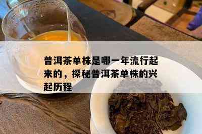 普洱茶单株是哪一年流行起来的，探秘普洱茶单株的兴起历程