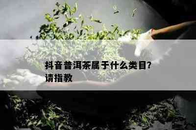 抖音普洱茶属于什么类目？请指教