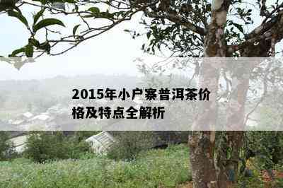 2015年小户寨普洱茶价格及特点全解析