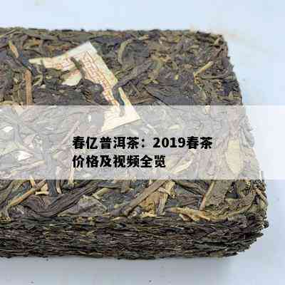 春亿普洱茶：2019春茶价格及视频全览