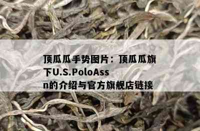 顶瓜瓜手势图片：顶瓜瓜旗下U.S.PoloAssn的介绍与官方旗舰店链接