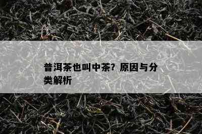 普洱茶也叫中茶？起因与分类解析