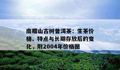 南糯山古树普洱茶：生茶价格、特点与长期存放后的变化，附2004年价格图