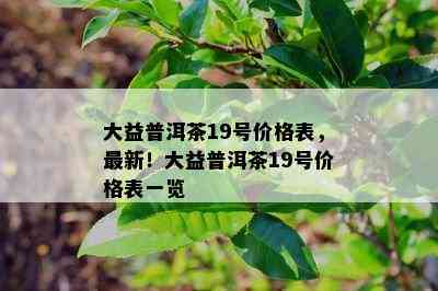 大益普洱茶19号价格表，最新！大益普洱茶19号价格表一览