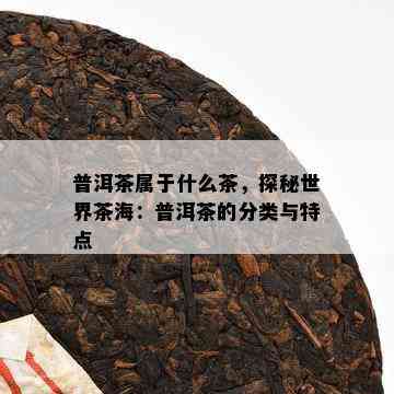 普洱茶属于什么茶，探秘世界茶海：普洱茶的分类与特点