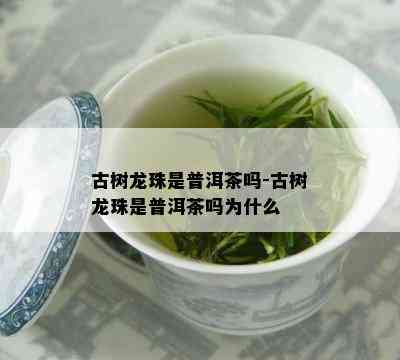 古树龙珠是普洱茶吗-古树龙珠是普洱茶吗为什么