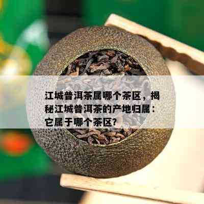 江城普洱茶属哪个茶区，揭秘江城普洱茶的产地归属：它属于哪个茶区？