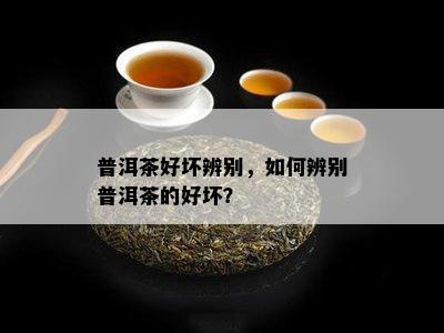 普洱茶好坏辨别，怎样辨别普洱茶的好坏？