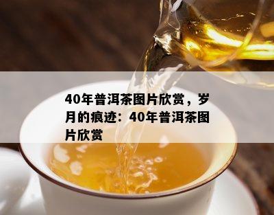 40年普洱茶图片欣赏，岁月的痕迹：40年普洱茶图片欣赏