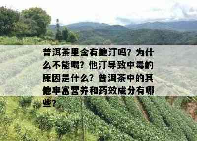 普洱茶里含有他汀吗？为什么不能喝？他汀导致中的原因是什么？普洱茶中的其他丰富营养和效成分有哪些？