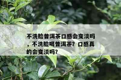 不洗脸普洱茶口感会变淡吗，不洗脸喝普洱茶？口感真的会变淡吗？