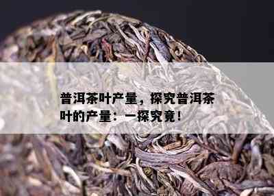 普洱茶叶产量，探究普洱茶叶的产量：一探究竟！