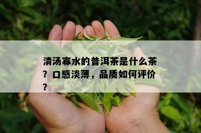 清汤寡水的普洱茶是什么茶？口感淡薄，品质如何评价？