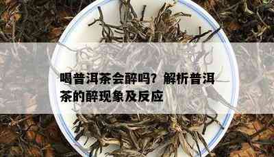 喝普洱茶会醉吗？解析普洱茶的醉现象及反应