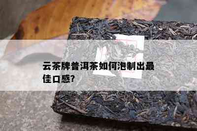 云茶牌普洱茶如何泡制出更佳口感？