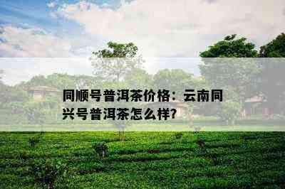 同顺号普洱茶价格：云南同兴号普洱茶怎么样？